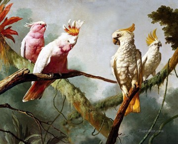loro clásico en pájaros de árbol Pinturas al óleo